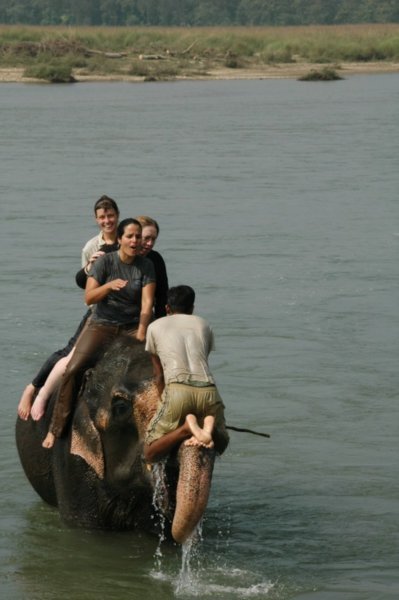 This is the way to get on an elephant