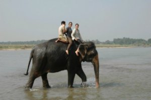Elephant Bathtime