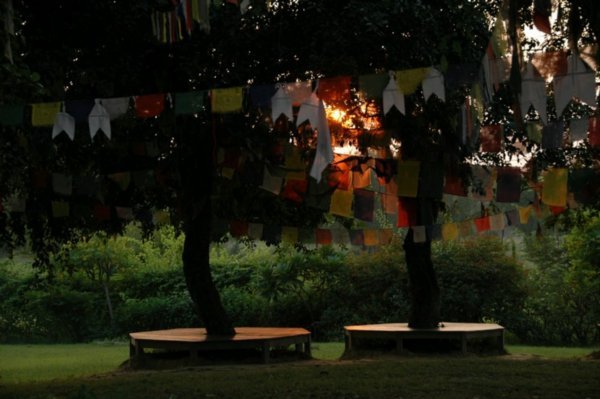 Sunset behind prayer flags at Lumbini