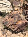 iron ore sandstone