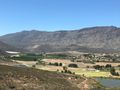 The orchards of Montagu