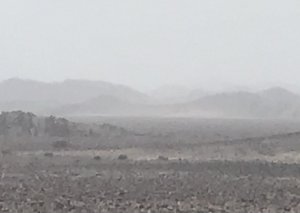 rain in the desert