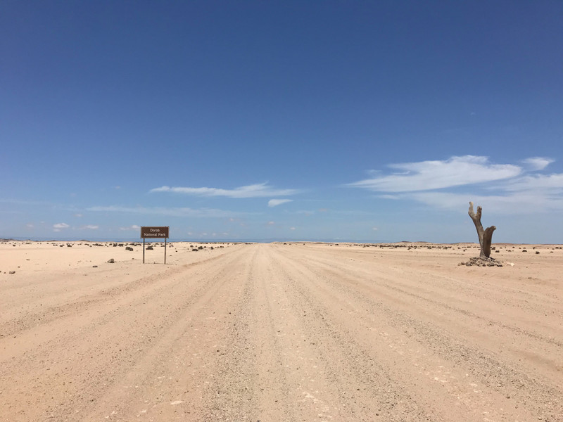 Crossing Dorob desert