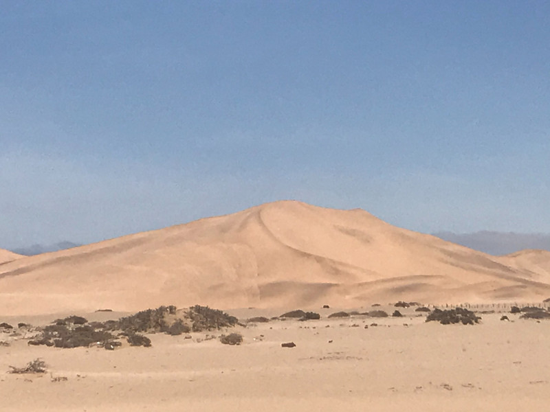 the wonderful dune landscape 