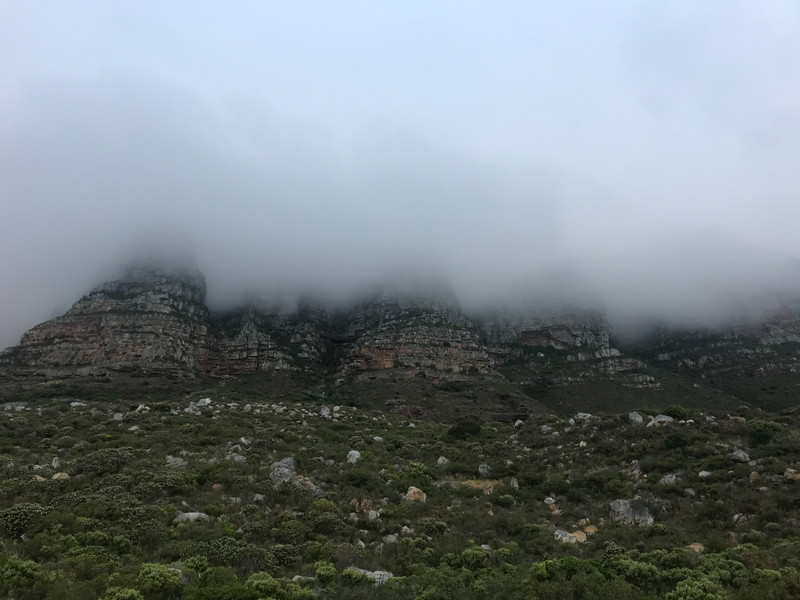 Table Mountain in hiding
