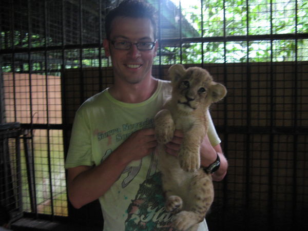 me with lion cub
