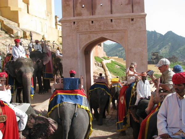 elephant rides at Amber Fort