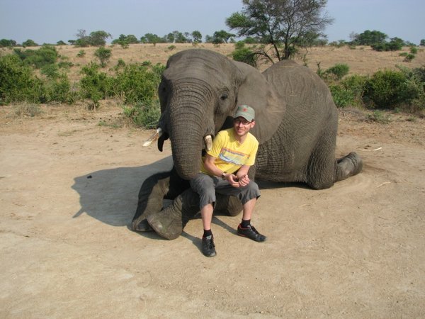 Feeding the elephant 2