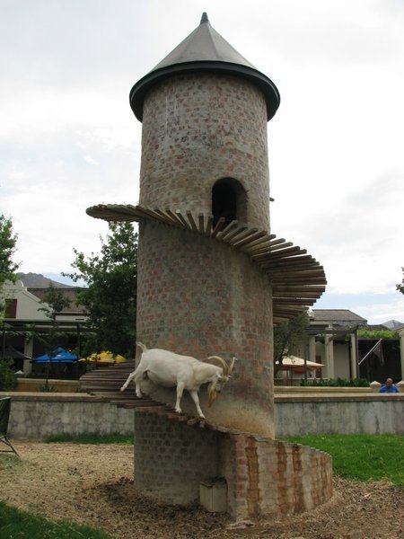 Goat tower at Fairview vineyard