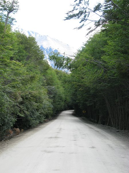 Reaching the end of the pan-american highway in TDF NP