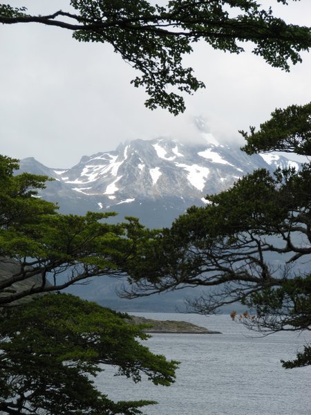 Tierra del Fuego NP 1