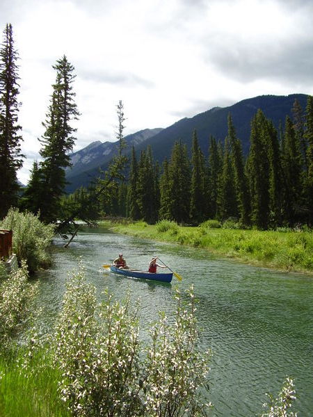 canoe sur la riviere Bow