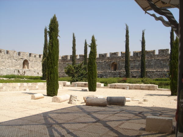 Palace View