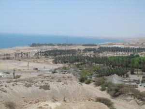 View of the Ein Gedi Oasis
