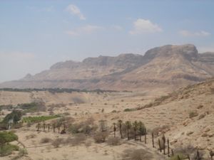 View of the Ein Gedi Oasis #2