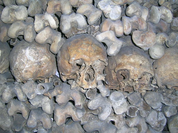 Skulls at the Catacombs
