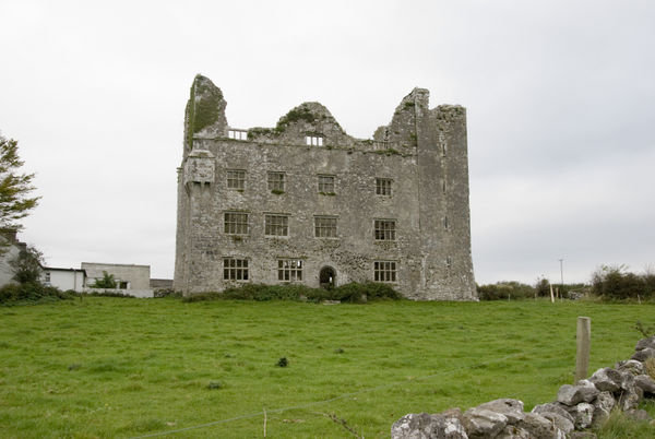 Leamanegh Castle