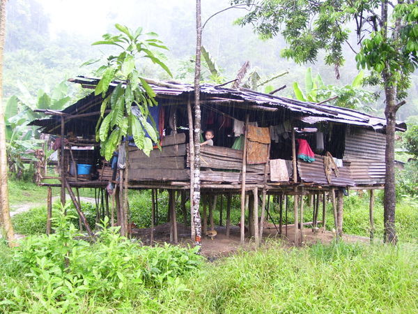 A Penan Hut | Photo