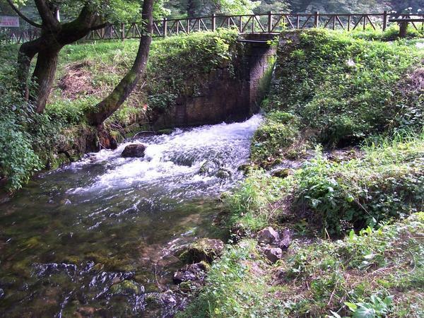 Bosna springs