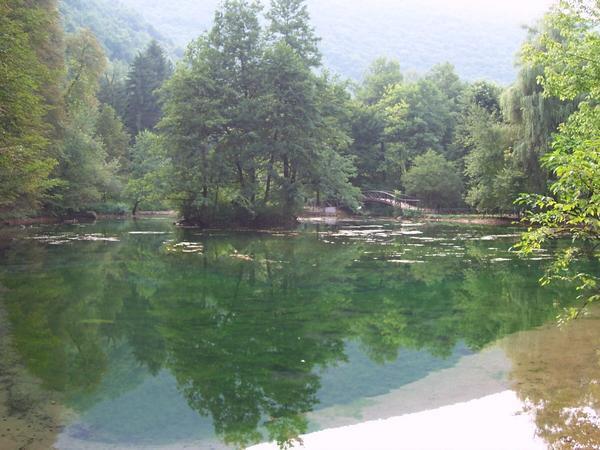 Bosna springs 2