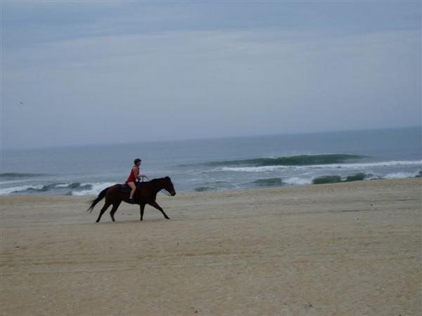 Horse-riding on beach