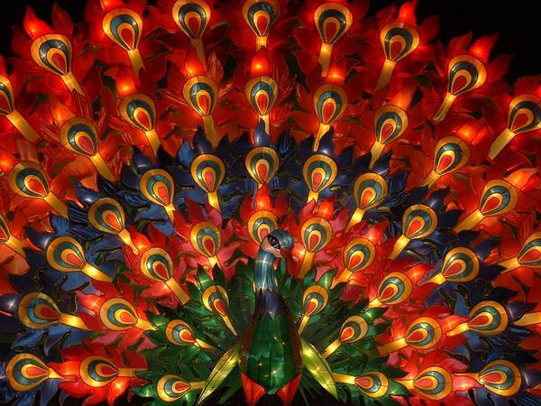 Mid-autumn festival lantern