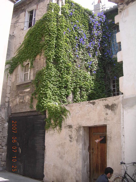 Old houses in Arles
