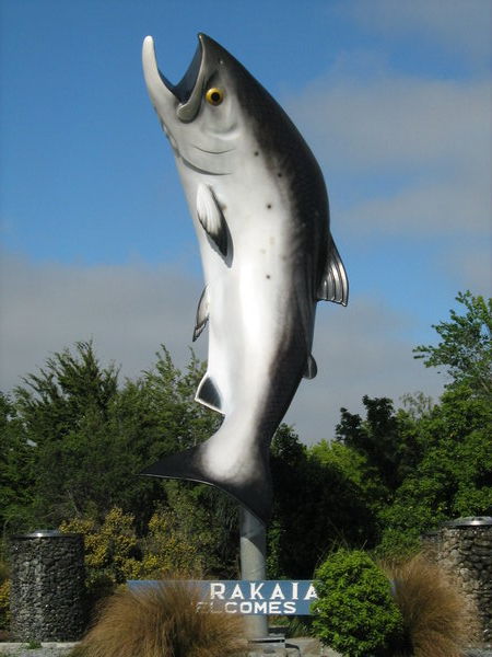 Giant Salmon
