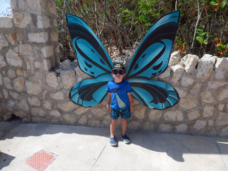Butterfly Riley