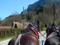 Horse carriage ride up to Neuschwanstein Castle