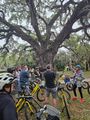 Bike Tour at City Park