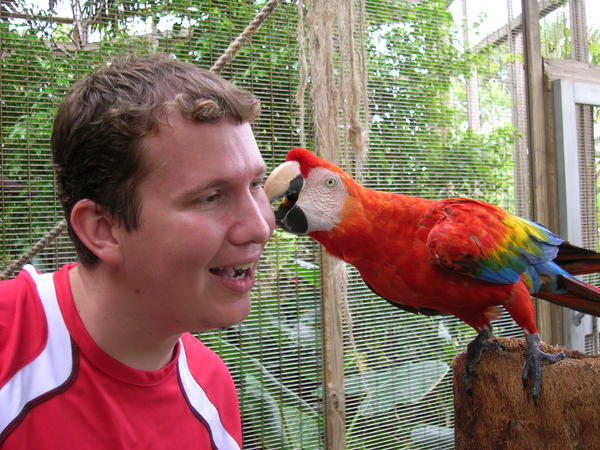 The Parrot is kissing Richard !!!