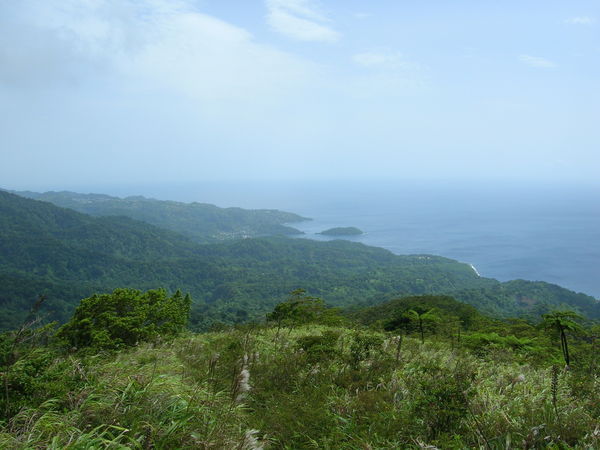 The View from Mt. Soufriere