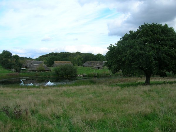Early Iron Age Village