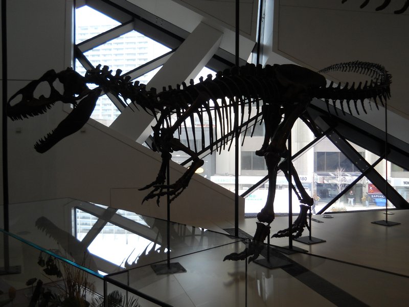 ROM - Dinosaur Exhibit