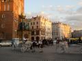 Horse Carriages in Krakow
