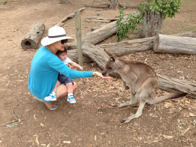 Ann an Riley feeding a kangaroo