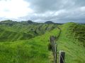 Beautiful Countryside on the way to New Plymouth