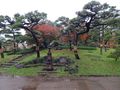 Gardens near the Imperial Palace