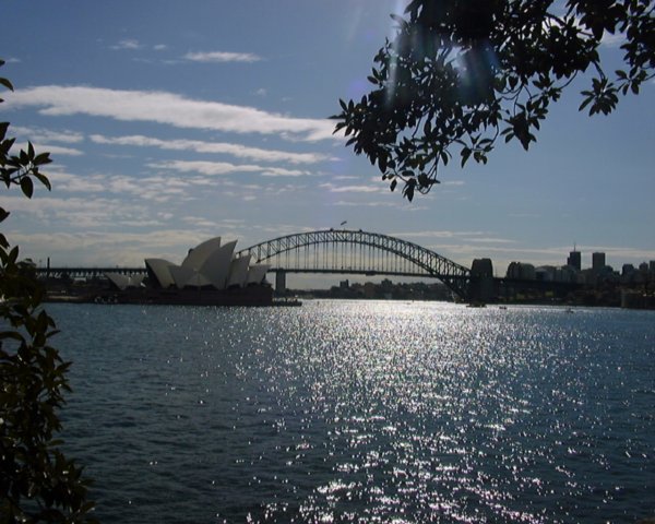 My City of Sydney