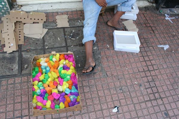 Chicks dyed different colors for sale....