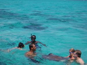 Snorkeling with stingrays.
