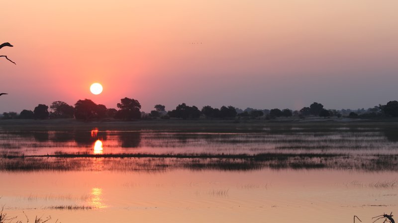 Botswana. Chobe Sunset