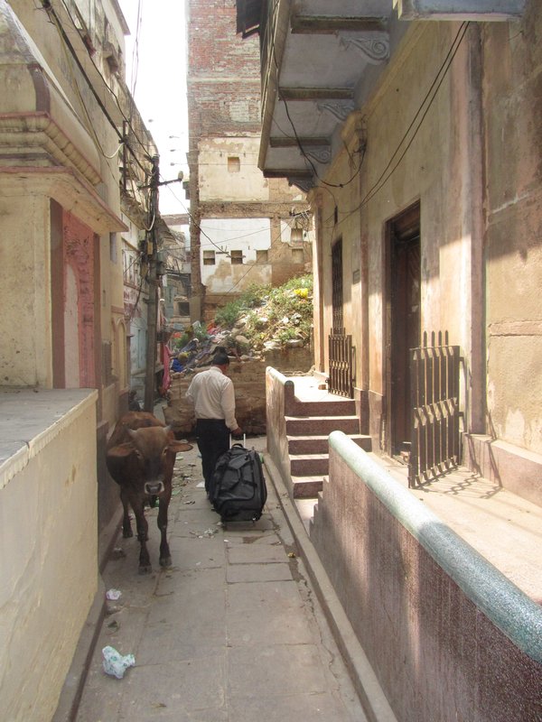 India. Alleys of Varanasi