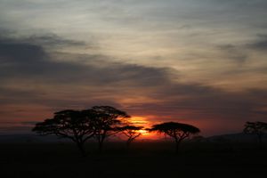 Tanzania. Serengeti sunset