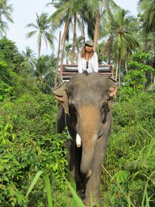 Thailand. The elephant queen