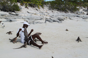 Guide with Iguanas eating off of him