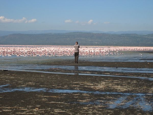 Adam on shore of Lake Nakuru