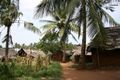 The village where we stopped for some palm wine. Mmmm.