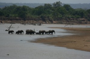 Elephants River crossing